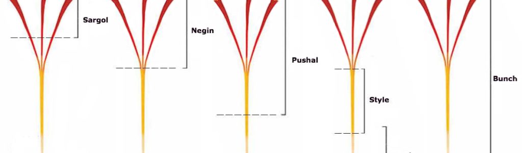 Grades-and-Types-of-Saffron-1